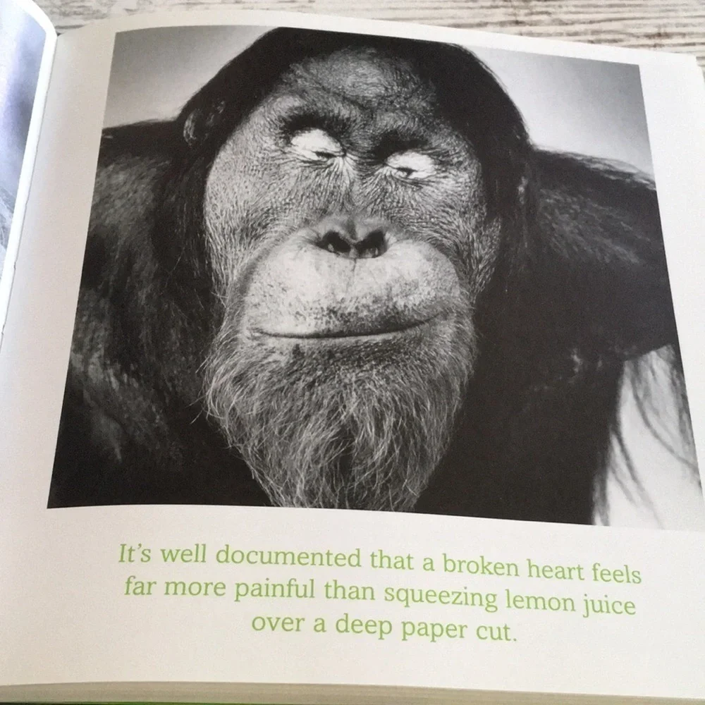 The Meaning of Life Bradley Trevor Greive Hardcover Book Animal Photos Gift